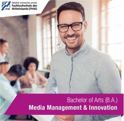 Bachelor of Arts (B.A.) Media Management & Innovation
