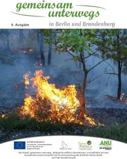 Gemeinsam - NaturKosmos eV