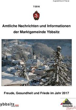 Amtliche Nachrichten und Informationen der Marktgemeinde Ybbsitz - Freude, Gesundheit und Friede im Jahr 2017 - Gemeindeserver