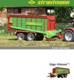 Giga-VitesseCFS - Strautmann