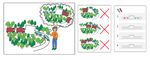Mathematische Problemaufgaben ohne Sprachbarriere - Probleml&ouml;sen f&uuml;r alle Sch&uuml;ler*innen
