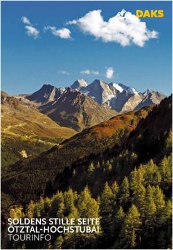 S&Ouml;LDENS STILLE SEITE &Ouml;TZTAL-HOCHSTUBAI - WANDERN ...