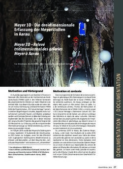 Meyer 3D - Die dreidimensionale Erfassung der Meyerstollen in Aarau - GeoIdee