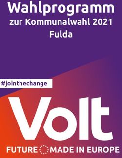 Wahlprogramm zur Kommunalwahl 2021 Fulda - FUTURE MADEINEUROPE - Volt Europa