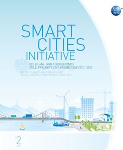 SMART CITIES INITIATIVE - DES KLIMA- UND ENERGIEFONDS ZIELE, PROJEKTE UND ERGEBNISSE 2010 2013