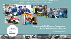 Automotive in Mecklenburg-Vorpommern Herausforderungen und Chancen