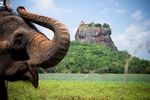 Sri Lanka 20 Tage Gruppenreise "Lebendige Kultur und der Zauber der Natur einer Tropeninsel" mit Mag. Hans Peter Griesmayer 07.03.- 26.03.2022 ...