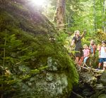 Vertikale Wildnis - Nationalparkverwaltung Berchtesgaden - Nationalpark Berchtesgaden