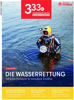 DIE WASSERRETTUNG Taktische Konzepte für komplexe Einsätze