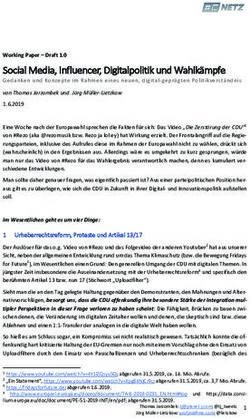 Social Media, Influencer, Digitalpolitik und Wahlk&auml;mpfe - cnetz