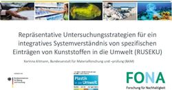 Repr&auml;sentative Untersuchungsstrategien f&uuml;r ein integratives Systemverst&auml;ndnis von spezifischen Eintr&auml;gen von Kunststoffen in die Umwelt (RUSEKU) ...
