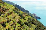 Ligurien & Cinque Terre - Kultour Ferienreisen