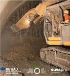 W&uuml;rmer im Gotthard infektiologische und andere Risiken im Tunnelbau