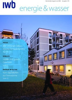Energie & wasser - Mit 120 Grad Celsius durchs Fernwärmenetz FOCUS - IWB