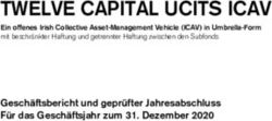 TWELVE CAPITAL UCITS ICAV