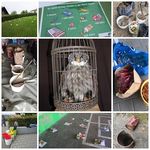 Schulinformation Ueberstorf 2021/2022
