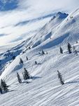 Schneeblatt'l - Saison 18/19 Ruckblick Termine vom Verein Aktuelles - Skiclub Schöllnach