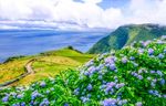 Kapverdische Inseln oder Azoren - Inklusive Flüge nach/von Teneriffa Premium Alles Inklusive an Bord - Hanseat Reisen