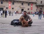 Ein mann und sein hund - Perro-Peregrino - Der pilgernde Spaniel