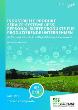 INDUSTRIELLE PRODUKT-SERVICE-SYSTEME (IPSS) PERSONALISIERTE PRODUKTE F&Uuml;R PRODUZIERENDE UNTERNEHMEN - als Themenschwerpunkt im Digital Hub ...