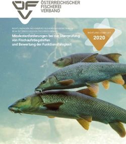 2020 &Ouml;STERREICHISCHER FISCHEREI VERBAND - Mindestanforderungen bei der &Uuml;berpr&uuml;fung von Fischaufstiegshilfen und Bewertung der Funktionsf&auml;higkeit