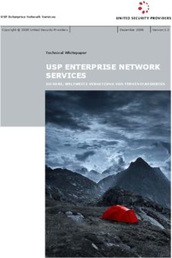 USP ENTERPRISE NETWORK SERVICES