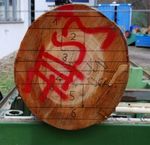 DAS FRAUNHOFER-INSTITUT F&Uuml;R HOLZFORSCHUNG, WILHELM-KLAUDITZ-INSTITUT WKI