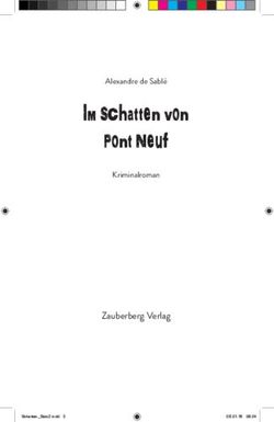 Im Schatten von Pont Neuf - Zauberberg Verlag - Alexandre de Sablé Kriminalroman