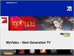 MYVIDEO -NEXT GENERATION TV - UNTERF&Ouml;HRING, APRIL 2010