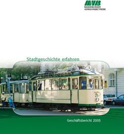 Stadtgeschichte erfahren - Gesch&auml;ftsbericht 2005 - Fahrgastverband Magdeburg