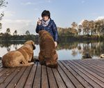 Freunde fürs Leben Verantwortungsvolle Hundehaltung in Lustenau - Marktgemeinde Lustenau