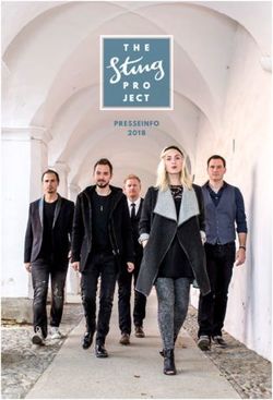 PRESSEINFO 2018 - the sting project