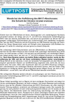 Wende bei der Aufklärung des MH17-Abschusses: Die Schuld der Ukraine ist jetzt erwiesen
