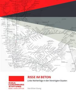 RISSE IM BETON Linke Wahlerfolge in den Vereinigten Staaten Von Ethan Young - Rosa Luxemburg Stiftung