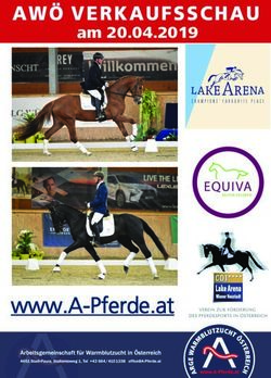 www.A-Pferde.at - am 20.04.2019 - Pferdezucht Austria