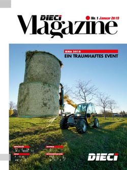 EIN TRAUMHAFTES EVENT - Nr. 1 Januar 2019 EIMA 2018 - Dieci