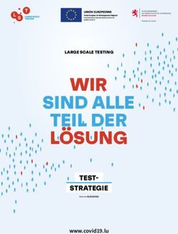 WIR SIND ALLE TEIL DER L&Ouml;SUNG - TEST-STRATEGIE www.covid19.lu - covid-19.lu