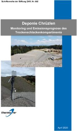Deponie Chr&uuml;zlen Monitoring und Emissionsprognose des Trockenschlackenkompartiments - Die Stiftung : ZAR