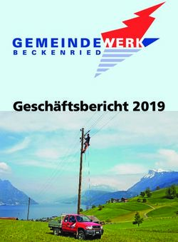 Gesch&auml;ftsbericht 2019 - Gemeindewerk Beckenried