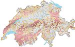 Rote Liste der S&auml;ugetiere (ohne Flederm&auml;use) - Gef&auml;hrdete Arten der Schweiz - BAFU