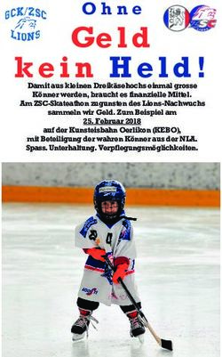 Kein Held! - ZSC Lions Nachwuchs