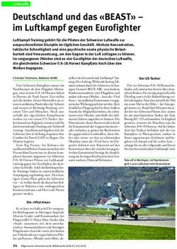 Deutschland und das "BEAST" - im Luftkampf gegen Eurofighter - ASMZ