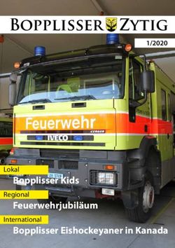 Bopplisser Zytig - Bopplisser Kids Feuerwehrjubiläum Bopplisser Eishockeyaner in Kanada