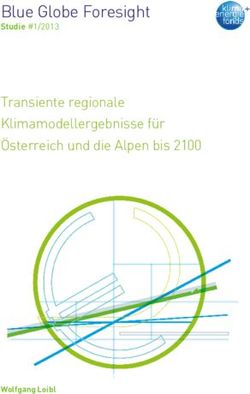 Blue Globe Foresight Transiente regionale Klimamodellergebnisse f&uuml;r &Ouml;sterreich und die Alpen bis 2100 - Klima- und Energiefonds