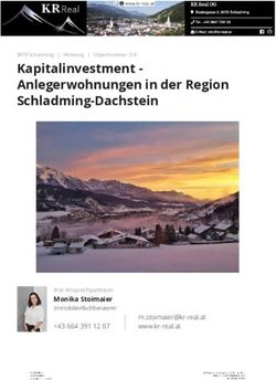Kapitalinvestment - Anlegerwohnungen in der Region Schladming-Dachstein - Monika Stoimaier