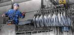 Industrie aktuell 1 2019 - WKO