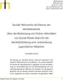 Soziale Netzwerke als R&auml;ume der Identit&auml;tsarbeit. &Uuml;ber die Bedeutung von Online-Aktivit&auml;ten von Social-Media-Stars f&uuml;r die Identit&auml;tsbildung und ...