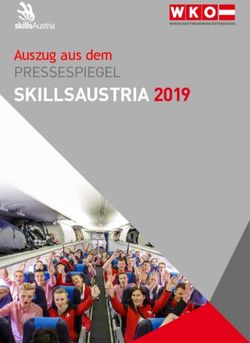 SKILLSAUSTRIA 2019 PRESSESPIEGEL Auszug aus dem - WKO