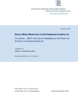 SOCIAL MEDIA MARKETING IN DER KOMMUNIKATIONSPOLITIK