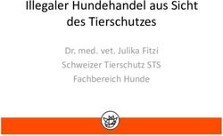 Illegaler Hundehandel aus Sicht des Tierschutzes - Dr. med. vet. Julika Fitzi Schweizer Tierschutz STS Fachbereich Hunde - STVT